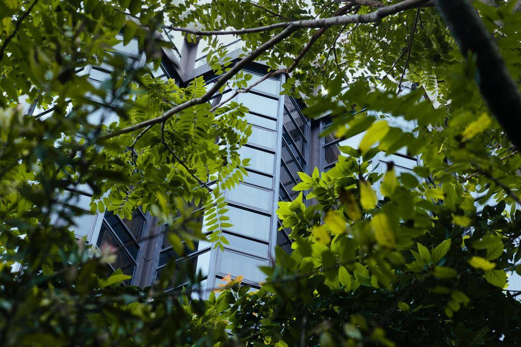 Primacy Apart Hotel Mar del Plata Exterior foto